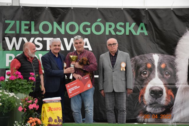 pieski2 153